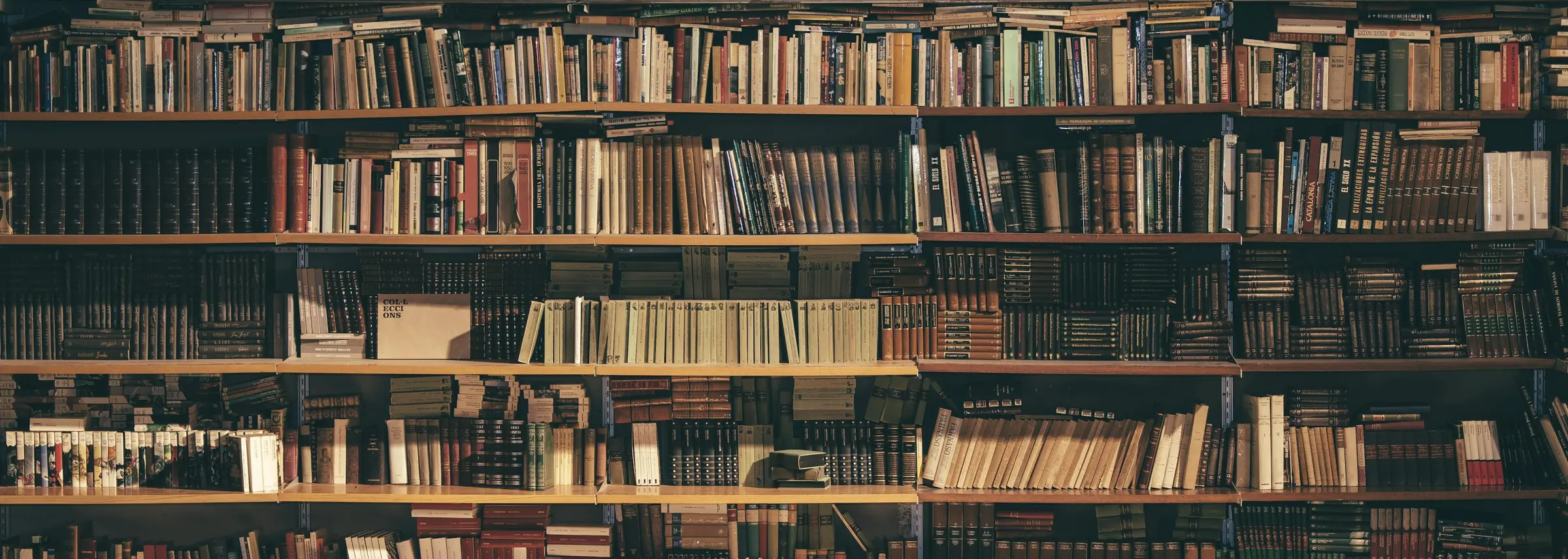 Regalwand mit dicht gefüllten Reihen gebrauchter Bücher